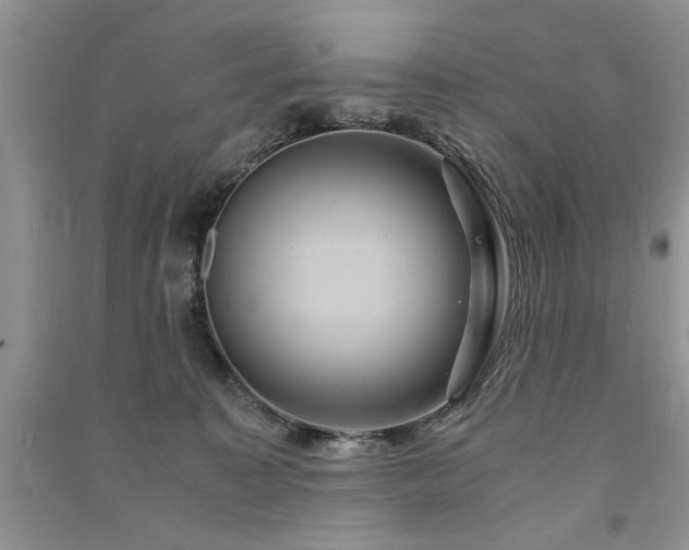 X0000091080323200708131303