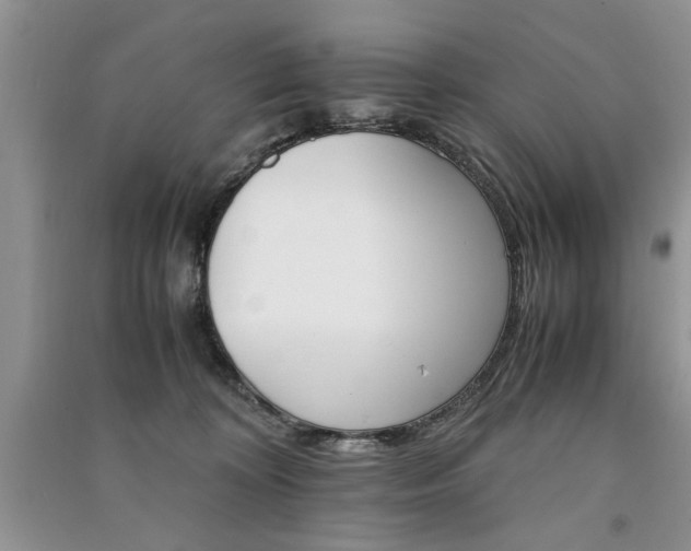 X0000091080324200708131303