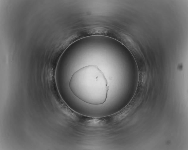 X0000091080326200708131303