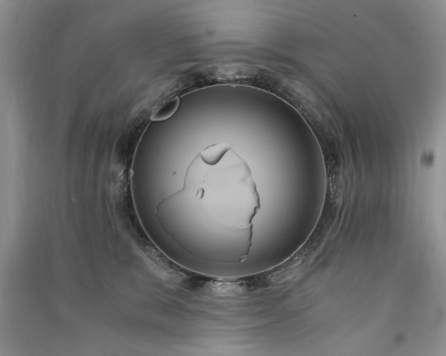 X0000091080327200708131303