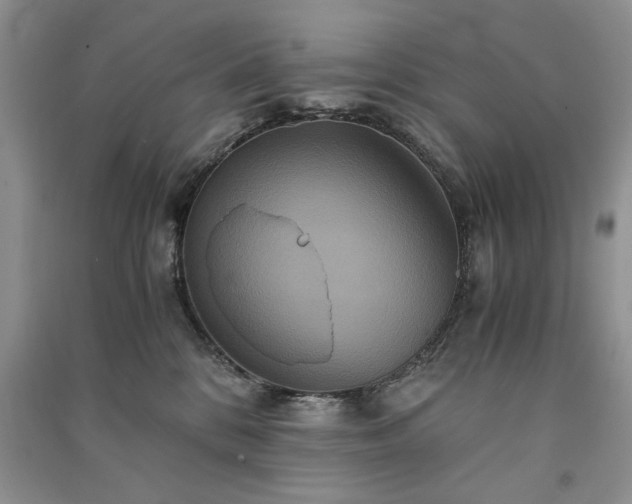 X0000091080328200708131303