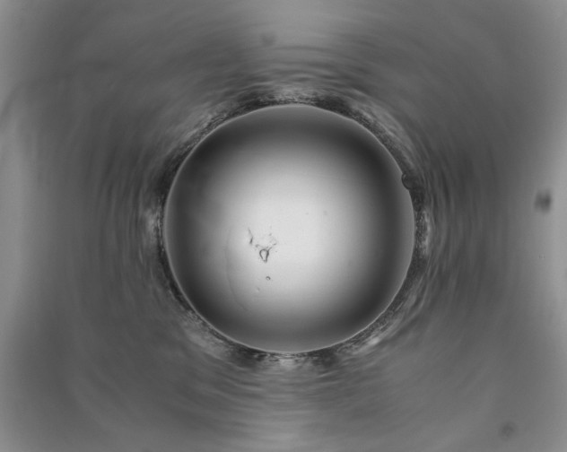 X0000091080329200708131303