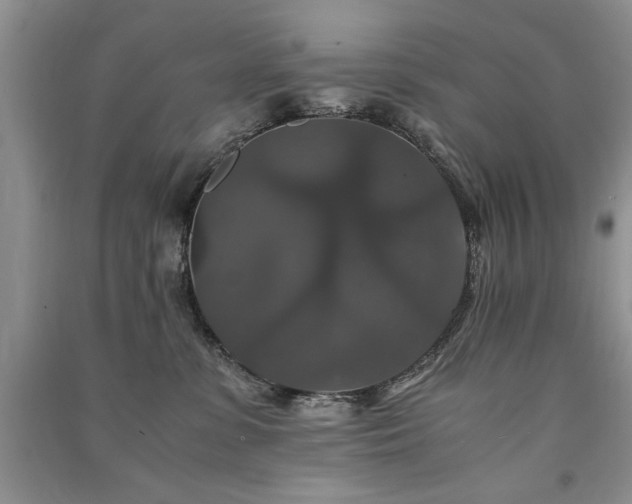 X0000091080331200708131303