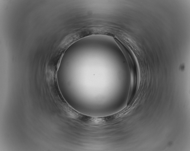 X0000091080333200708131303