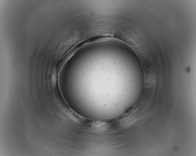 X0000091080334200708131303