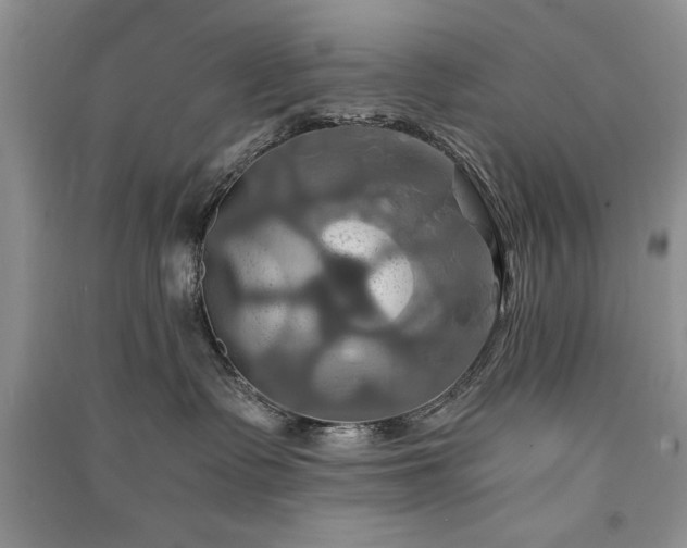 X0000091080335200708131303