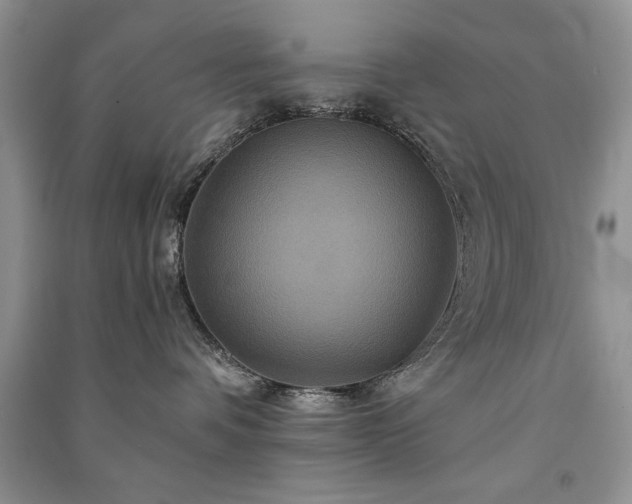 X0000091080336200708131303