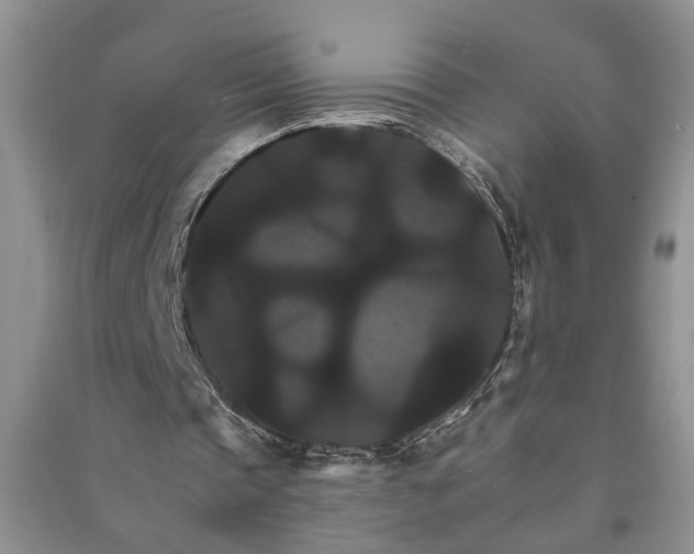 X0000091080337200708131302