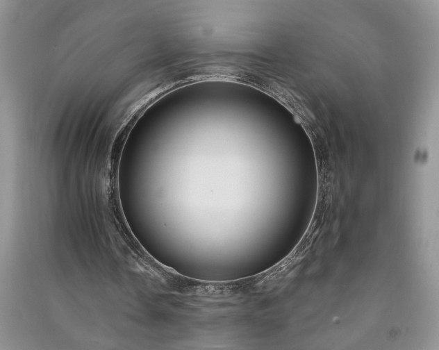 X0000091080338200708131302