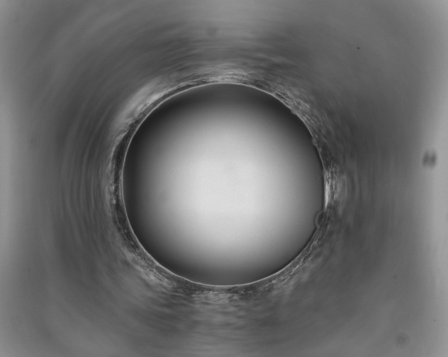 X0000091080339200708131302