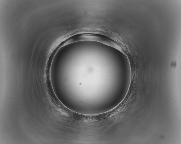 X0000091080340200708131302