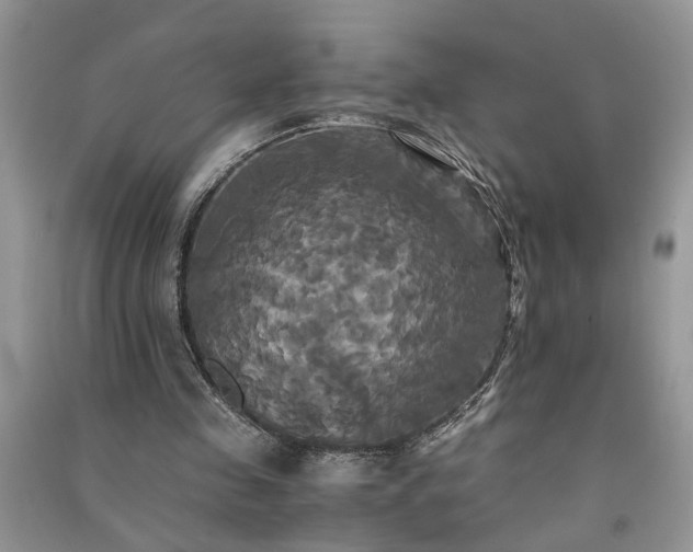 X0000091080341200708131302