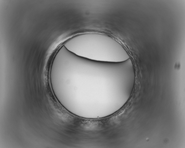 X0000091080343200708131302