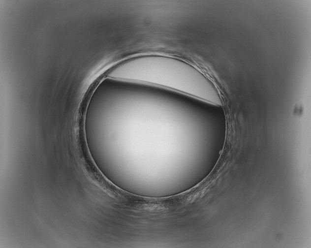 X0000091080344200708131302