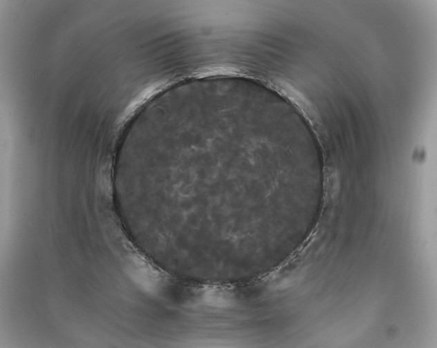 X0000091080345200708131302