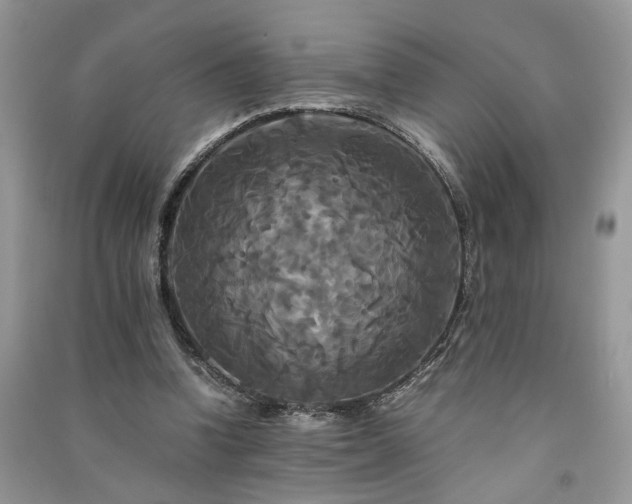 X0000091080346200708131302