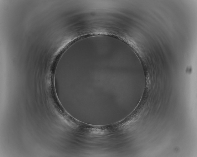 X0000091080347200708131302