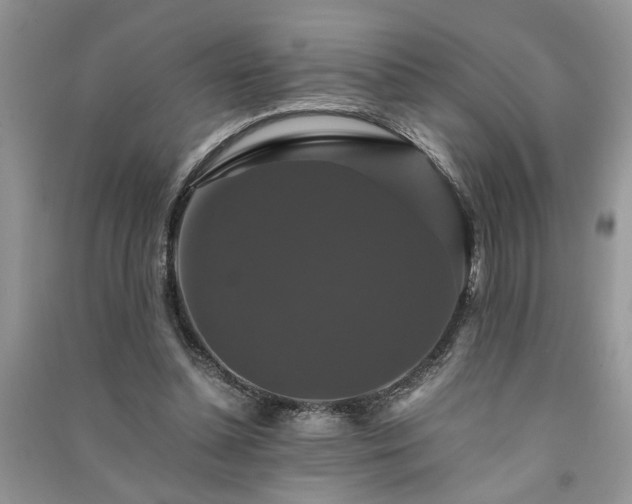 X0000091080348200708131302