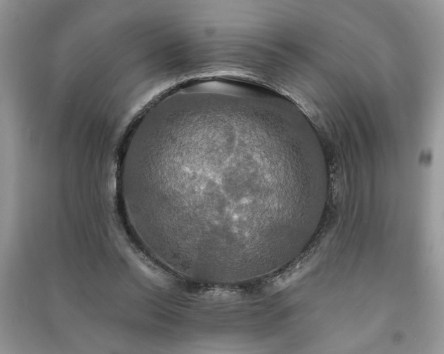 X0000091080350200708131302