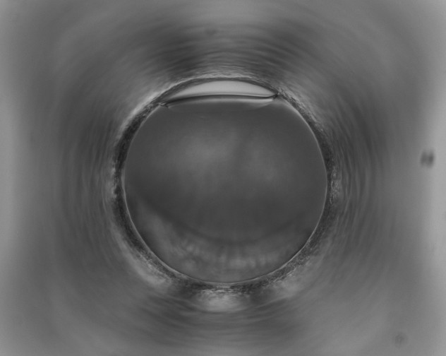 X0000091080351200708131302