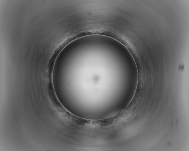 X0000091080354200708131302