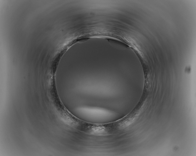 X0000091080355200708131302