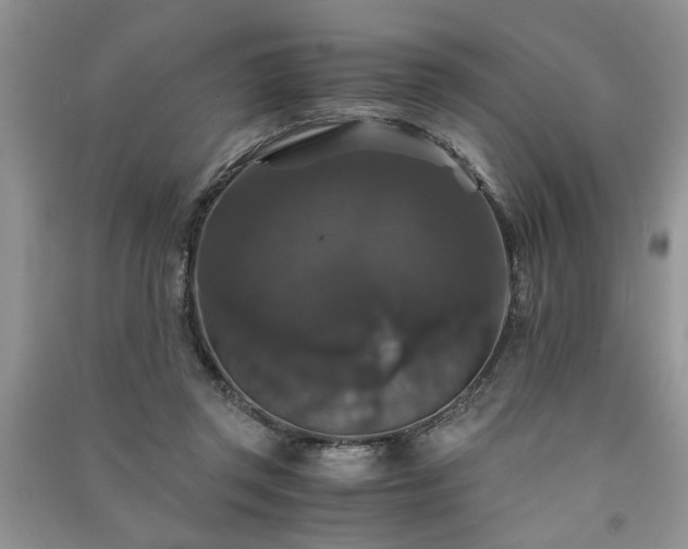 X0000091080357200708131302