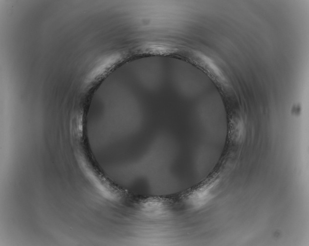 X0000091080358200708131302