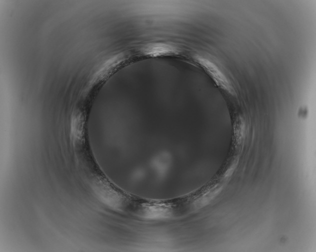 X0000091080359200708131302