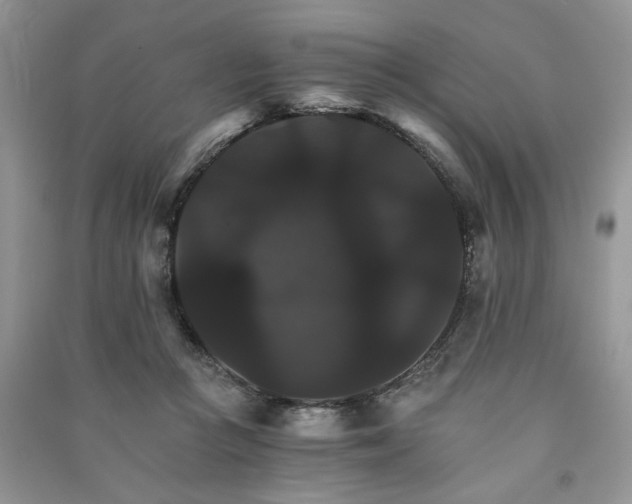 X0000091080361200708131302