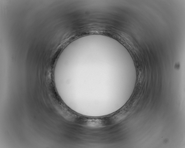 X0000091080363200708131302