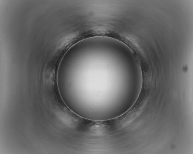 X0000091080364200708131302