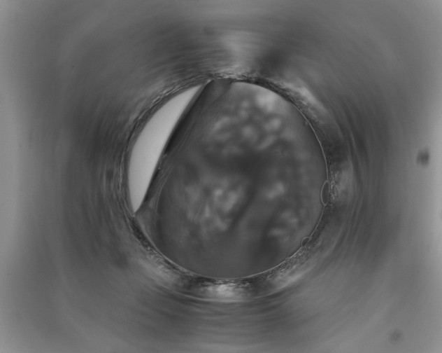 X0000091080365200708131302