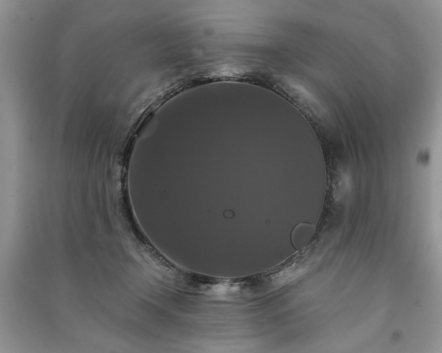 X0000091080366200708131302