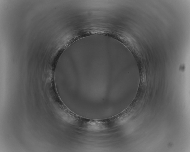 X0000091080367200708131302