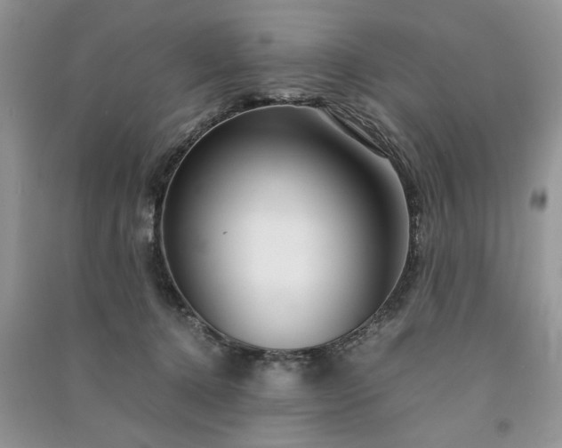 X0000091080368200708131302