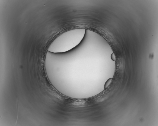 X0000091080369200708131302