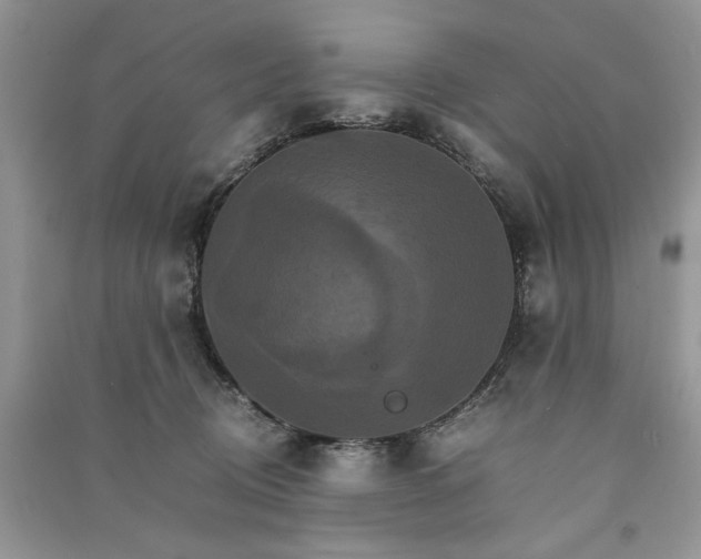 X0000091080370200708131302