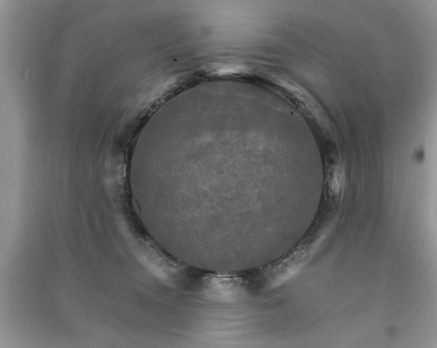 X0000091080372200708131302