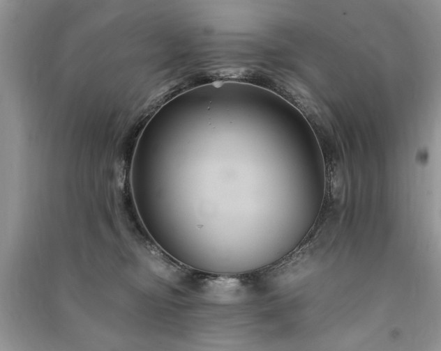 X0000091080374200708131302