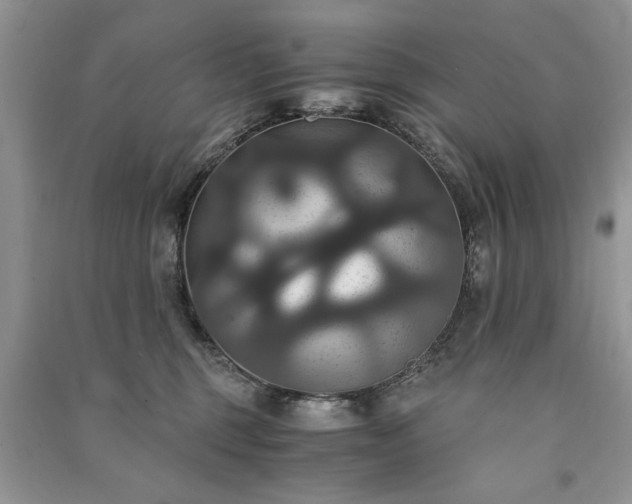 X0000091080375200708131302