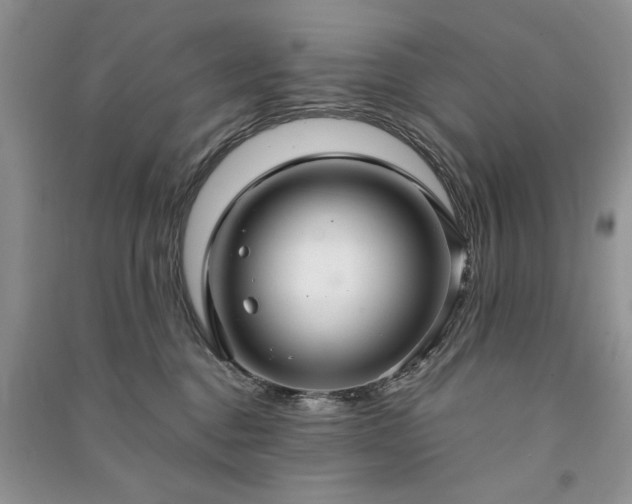 X0000091080376200708131302