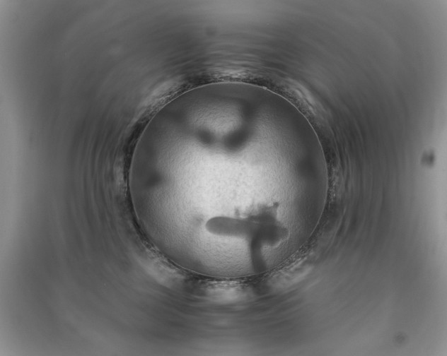 X0000091080377200708131302