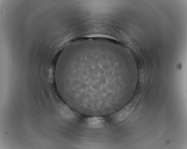 X0000091080378200708131302