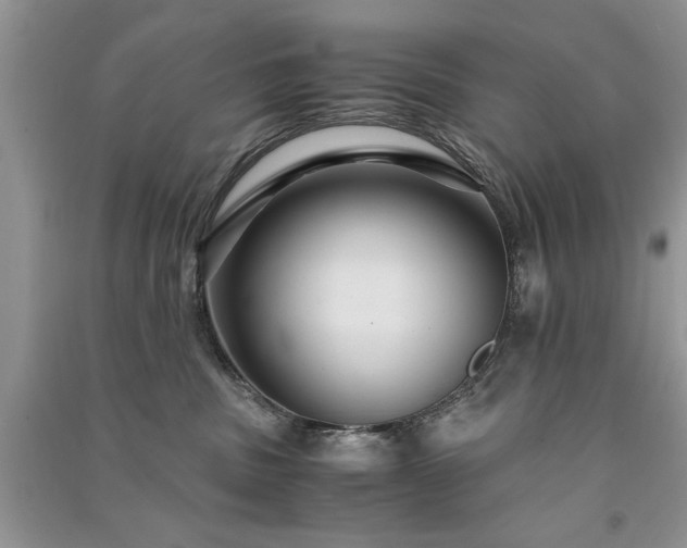 X0000091080379200708131302