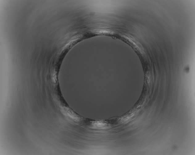 X0000091080380200708131302