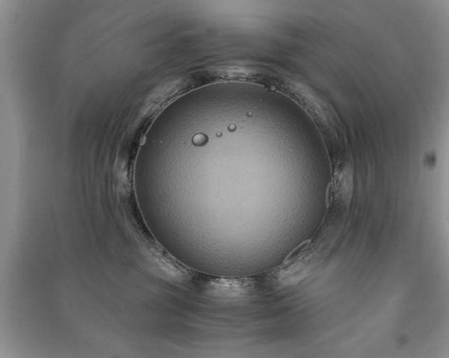 X0000091080381200708131302