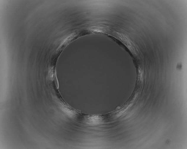 X0000091080383200708131302