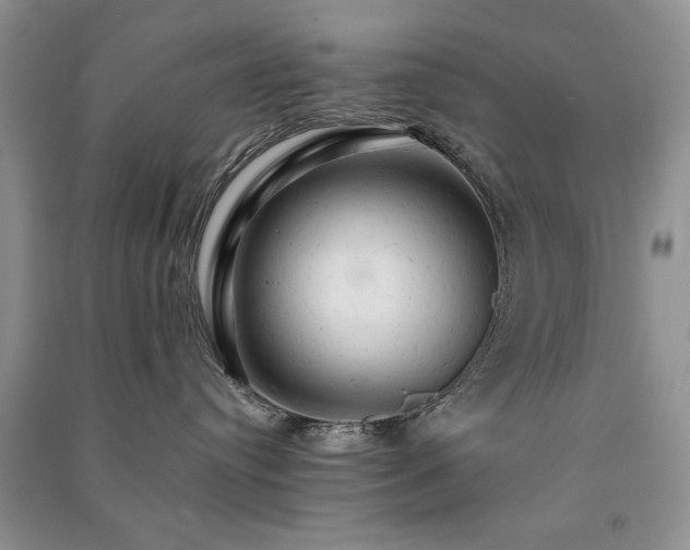 X0000091080384200708131302