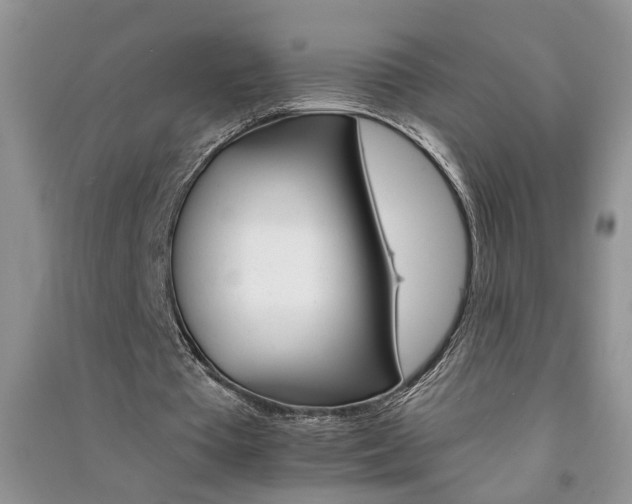 X0000091080385200708131302